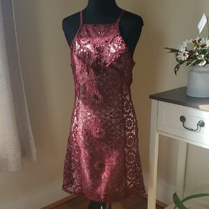 Francesca's Collections Wine Lace Dress